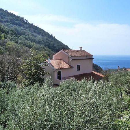 Casa Puccini B&B Maratea Kültér fotó