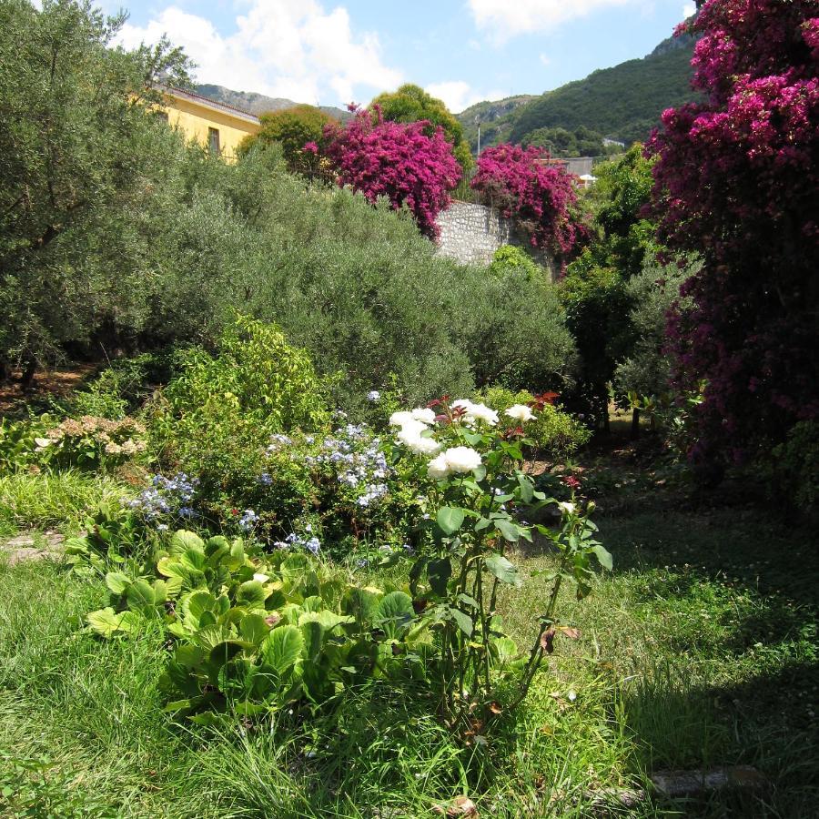 Casa Puccini B&B Maratea Kültér fotó
