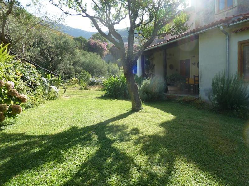 Casa Puccini B&B Maratea Kültér fotó