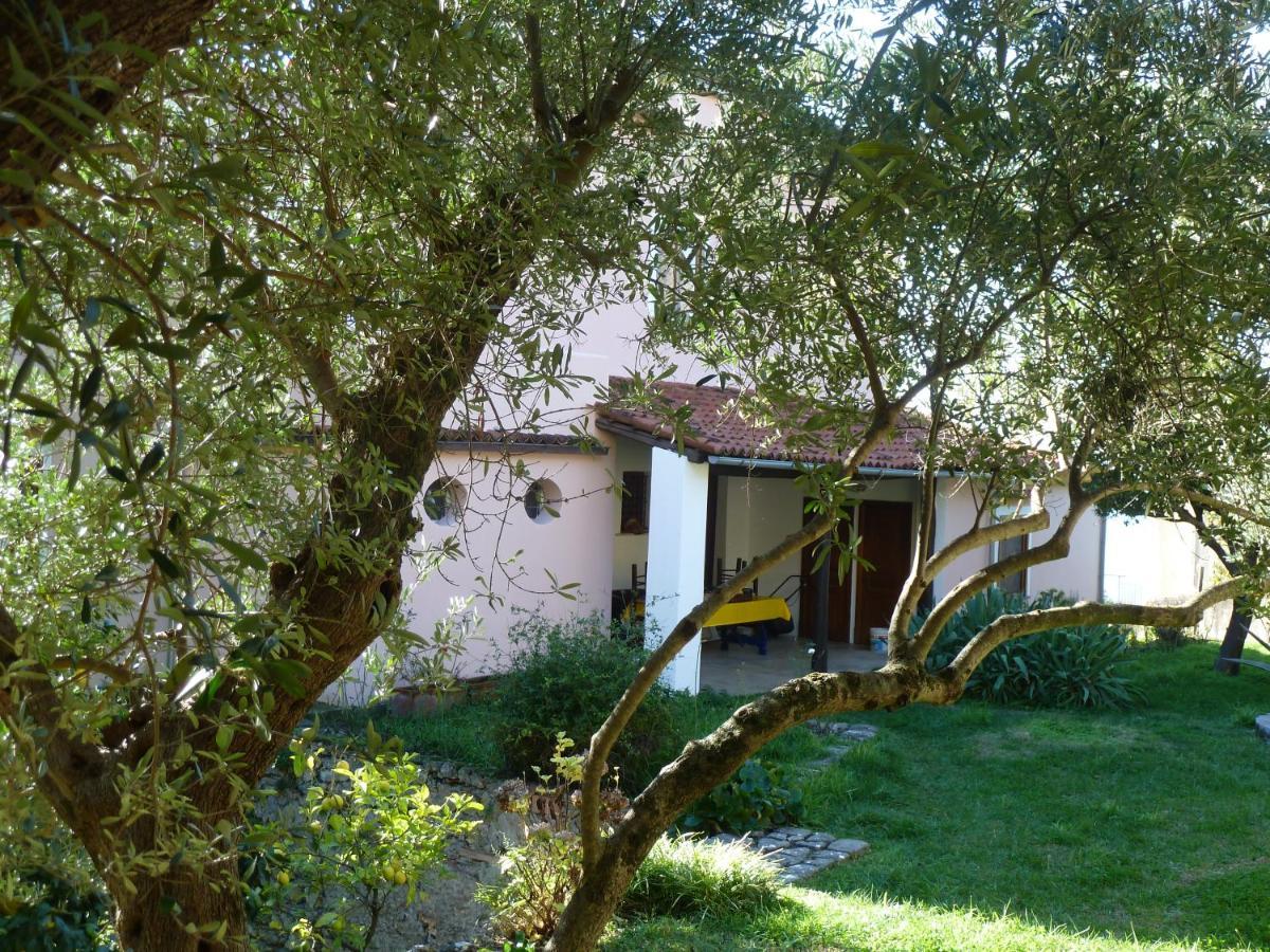 Casa Puccini B&B Maratea Kültér fotó