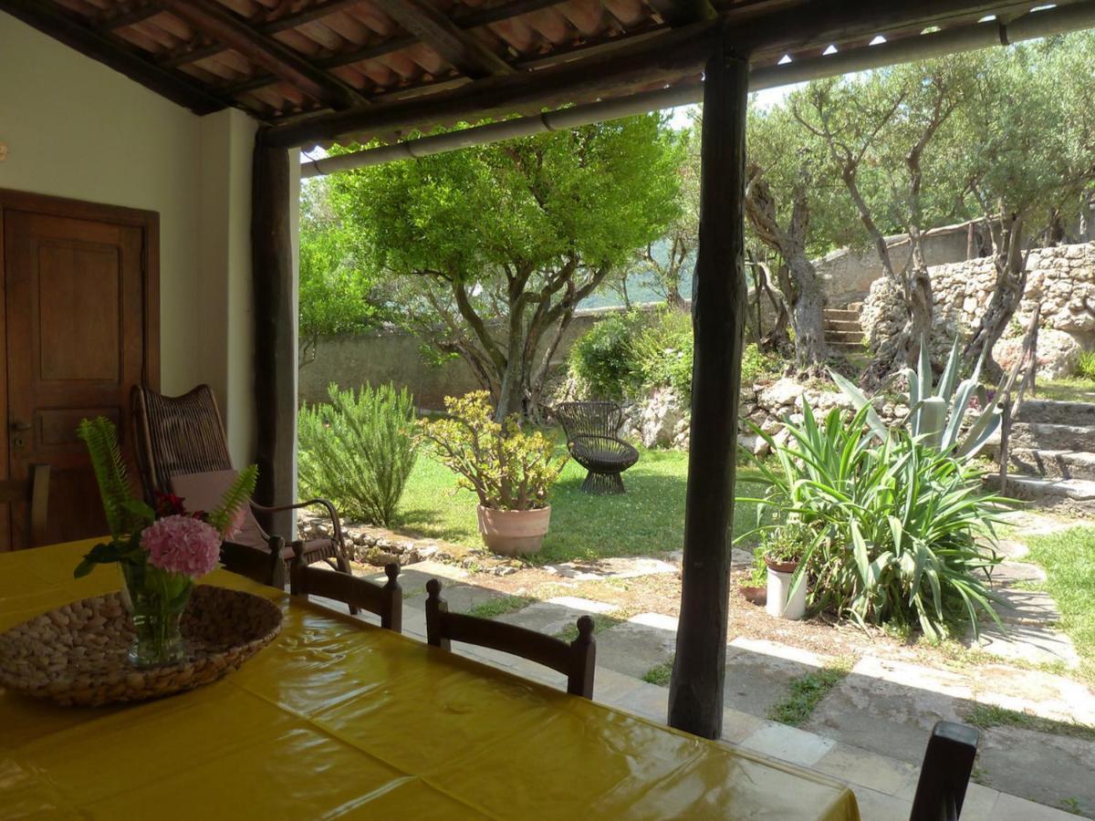 Casa Puccini B&B Maratea Kültér fotó